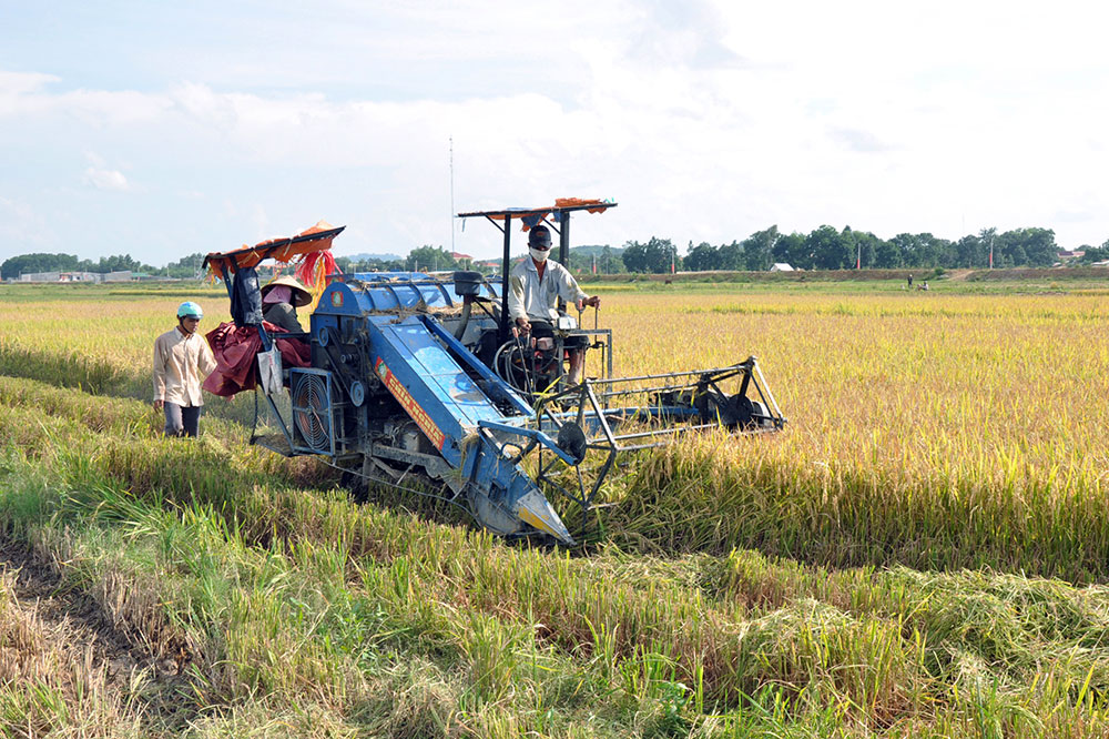 Để giữ vững thương hiệu Lúa Gạo Cát Tiên