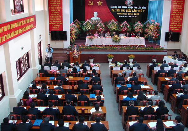 Khai mạc Đại hội đại biểu Đảng bộ Khối Doanh nghiệp tỉnh Lâm Đồng lần thứ V, nhiệm kỳ 2015 - 2020