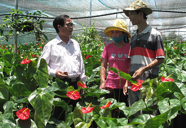Quyết tâm phát triển Lâm Hà toàn diện, bền vững