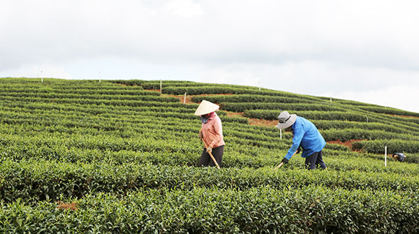 &quot;Sức trẻ&quot; của một vùng đất