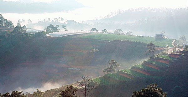 Ruộng bậc thang - nét duyên vùng ven đô Đà Lạt