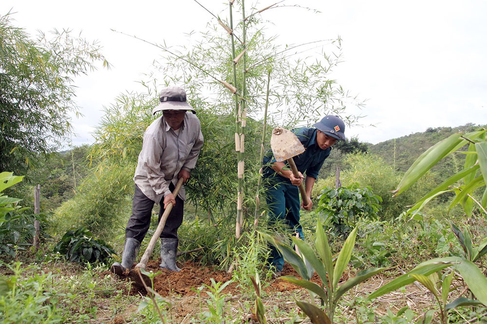 Giúp dân làm vườn