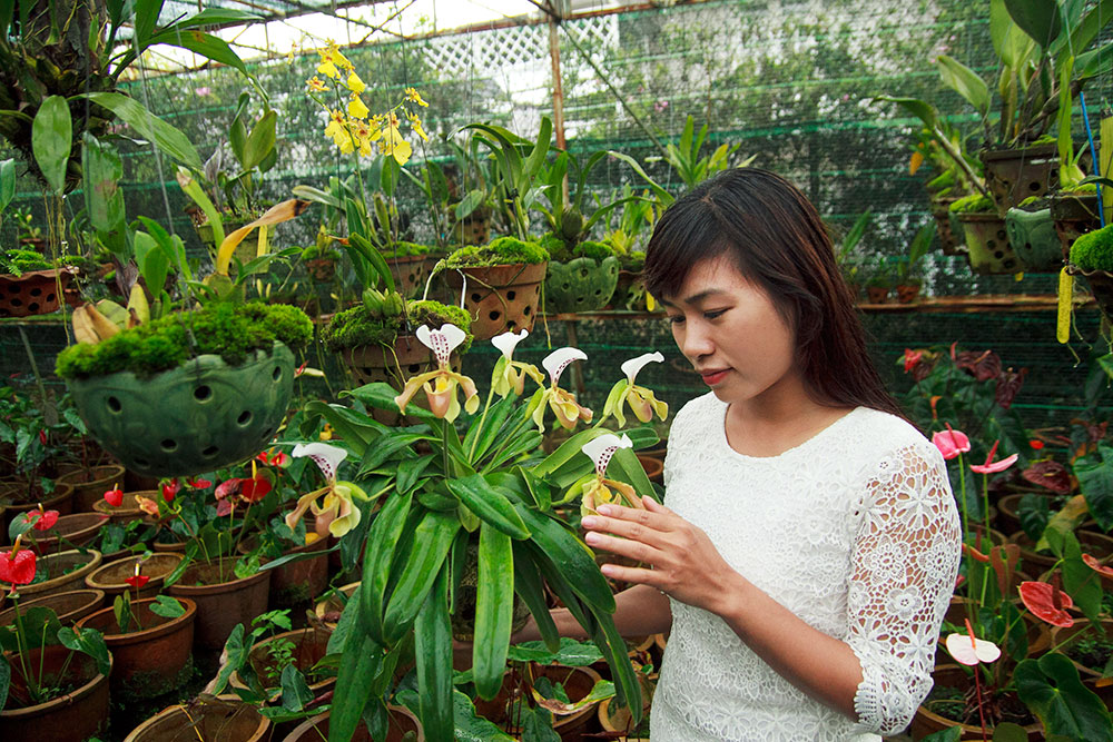 Nhất Linh và di sản cho lan Việt