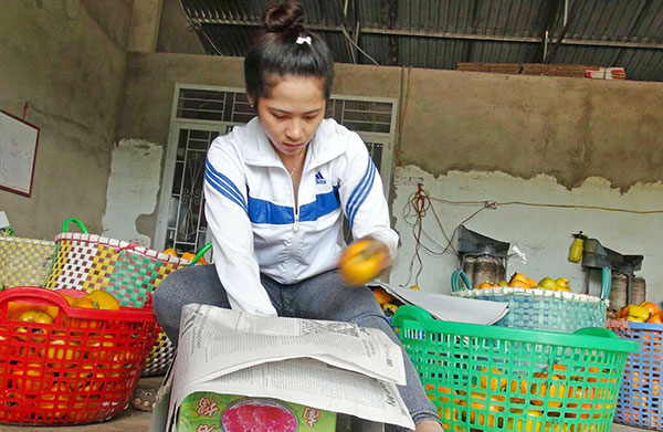 Minh oan cho trái hồng D'Ran
