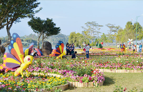 Xã hội hóa trong các chương trình festival hoa