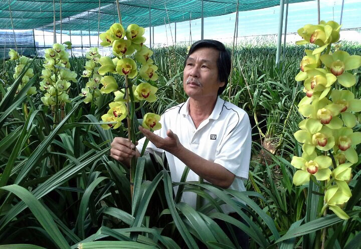 Người cao tuổi Tây Nguyên với phong trào &quot;Tuổi cao - gương sáng&quot;
