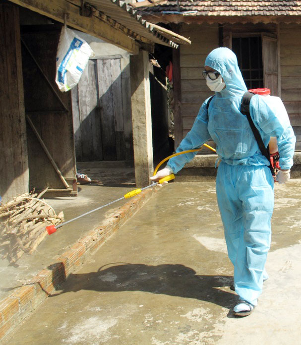 Phòng chống sốt xuất huyết dựa vào cộng đồng
