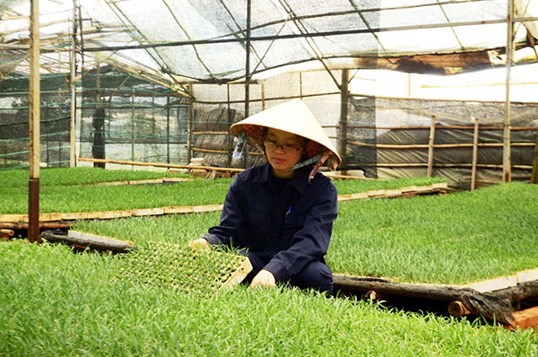 Hướng đến đào tạo theo nhu cầu xã hội