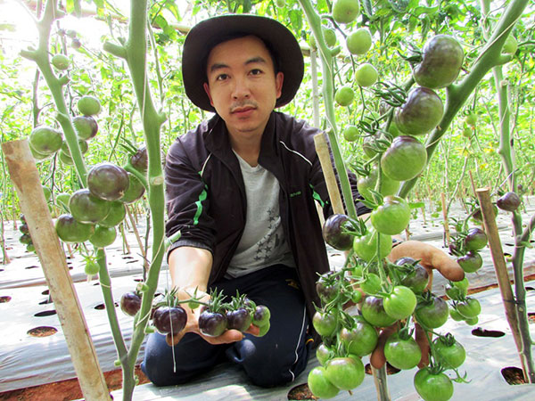 Festival Hoa Đà Lạt 2015 có "khu vườn lạ"