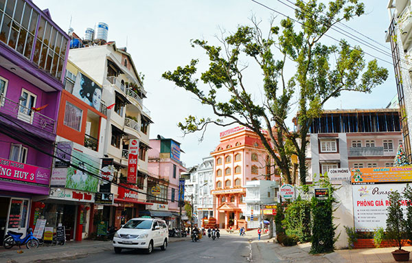 Lập đoàn liên ngành kiểm tra dịp Festival Hoa