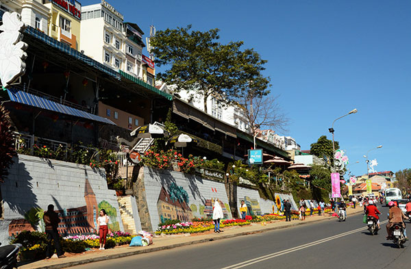 Rực rỡ đường hoa Lê Đại Hành, cầu Ông Đạo