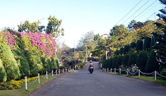 Không gian hoa bền vững trong lòng thành phố