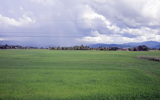 Về lại chiến khu K4