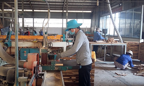 Tạo điều kiện phát triển cho cộng đồng