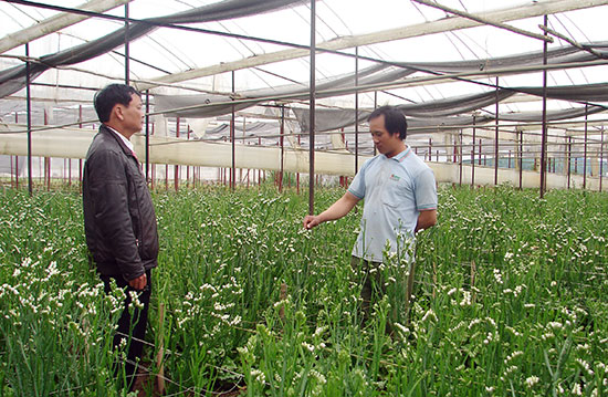 Mô hình &quot;Tổ dân vận thôn&quot; ở huyện nông thôn mới