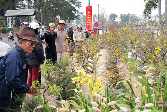 Nhớ chợ quê ngày tết