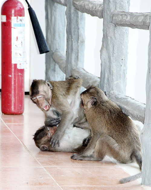 Nổi giận