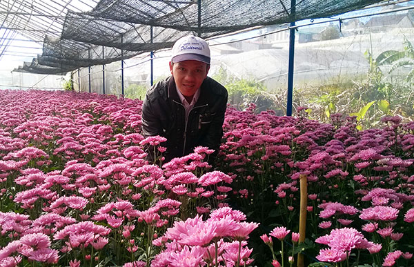 Bí thư đoàn làm kinh tế giỏi
