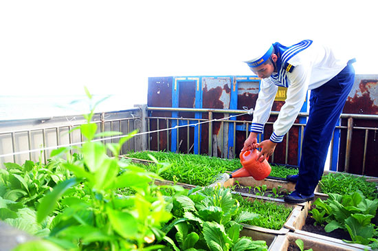 Chuyện Trường Sa (bài 2)