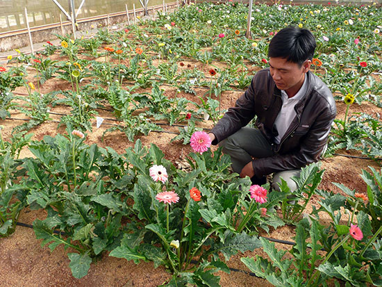 Cho những giống hoa mới có bản quyền
