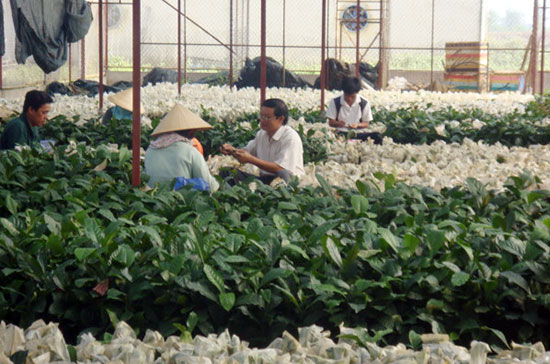 Đức Trọng khẩn trương triển khai những nhiệm vụ trọng tâm trong năm đầu của nhiệm kỳ 2015-2020