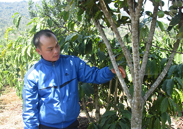 Bí thư chi đoàn vùng sâu đa năng