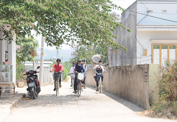 Phát huy vai trò lãnh đạo của Đảng trong xây dựng NTM