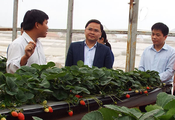 Bí thư TW Đoàn Nguyễn Anh Tuấn thăm và làm việc tại Lâm Đồng