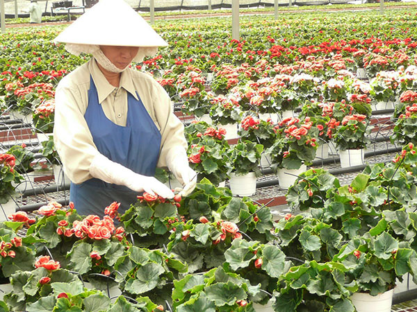 Khi nhân lực là vốn quí nhất của doanh nghiệp