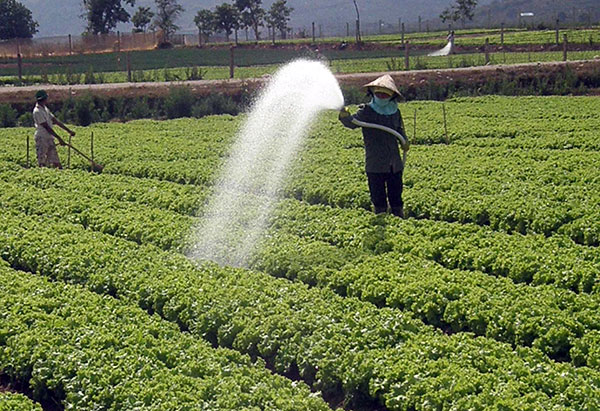Chung tay triển khai các giải pháp ứng phó với hạn hán