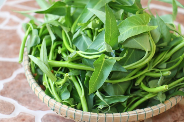 Những người tuyệt đối không được ăn rau muống