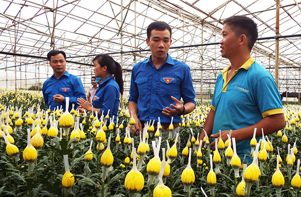 3 thập kỉ xây dựng phường cửa ngõ nối biển và hoa
