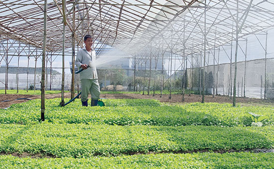 Đức Trọng tăng cường đầu tư tại các xã nghèo