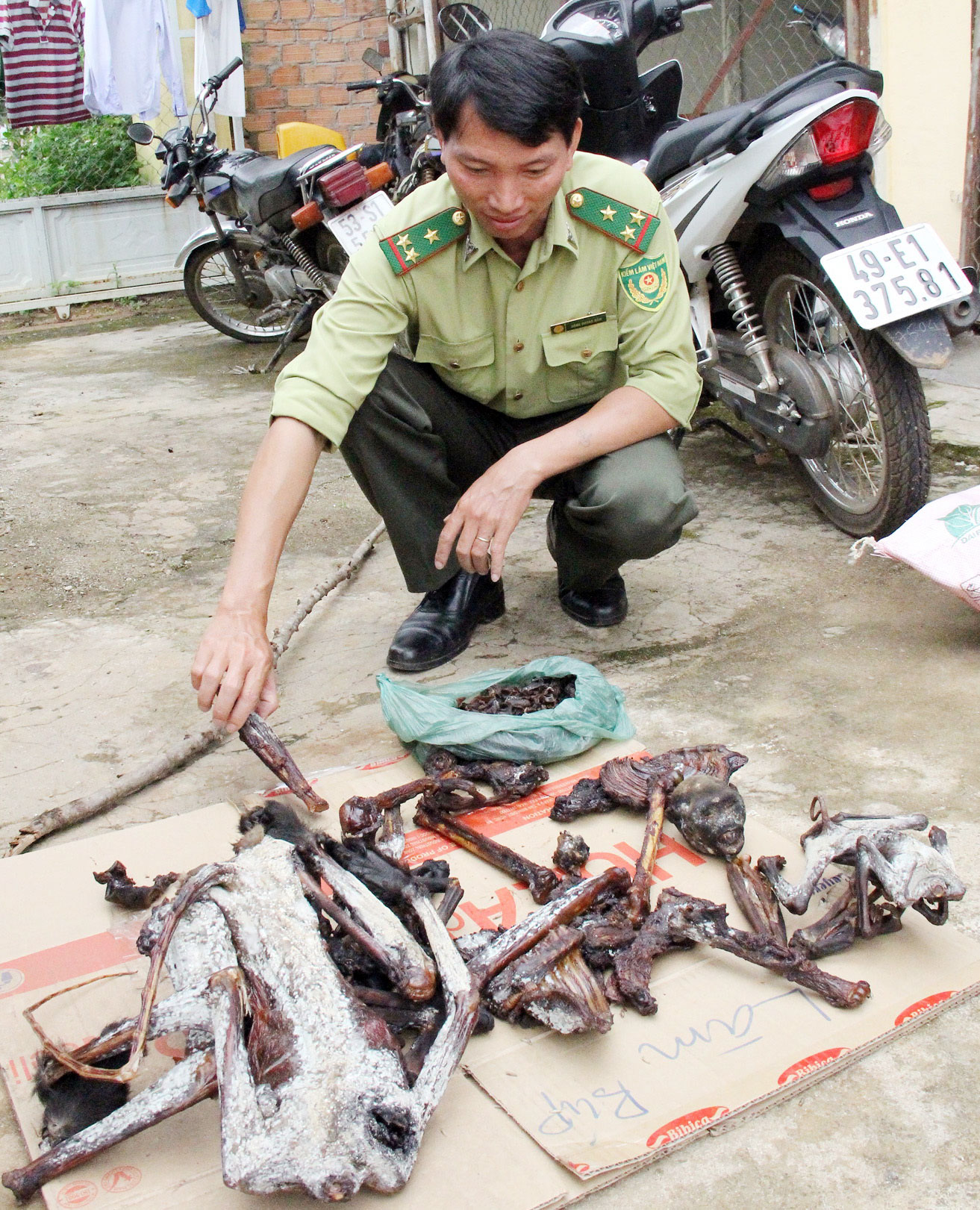 Tích cực bảo vệ động vật hoang dã
