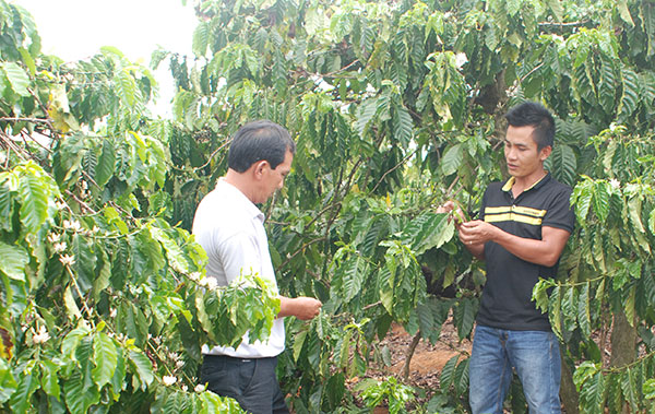 Thay đổi thói quen canh tác vì môi trường xanh