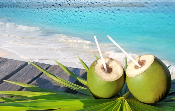 Nước dừa: Bổ nhưng phải uống đúng cách