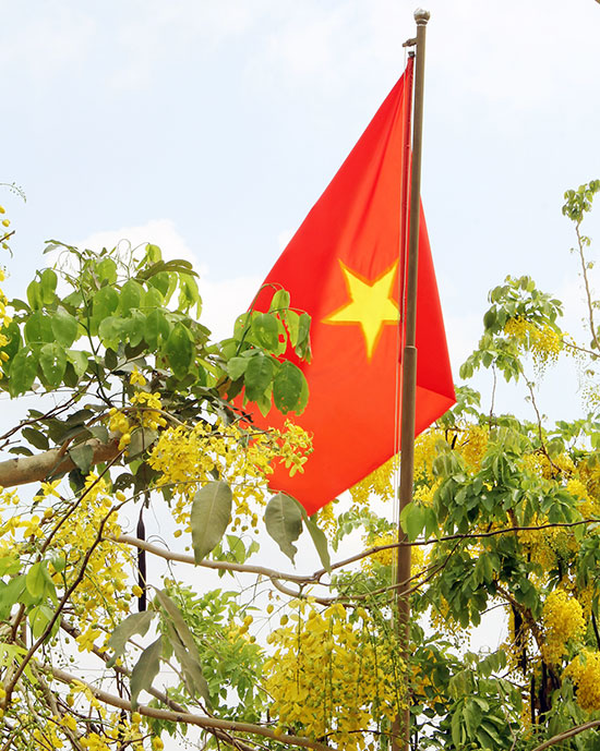 Cờ Tổ quốc nơi công sở trở nên sinh động khi tung bay giữa sắc vàng thiên nhiên