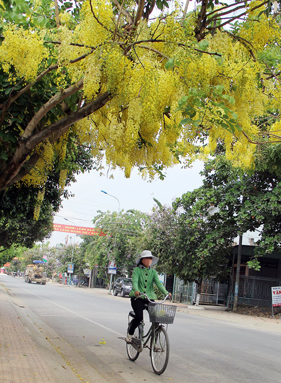 Thảnh thơi và an lạc giữa thiên nhiên. 