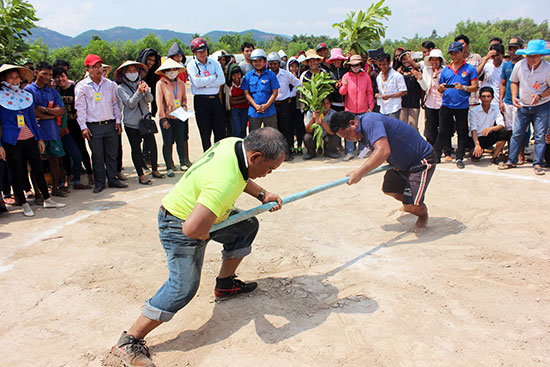 Thi đẩy gậy
