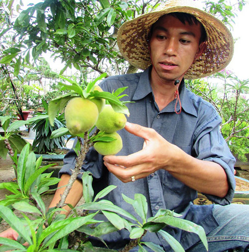 Thanh niên 8X xây dựng vườn cây quý hiếm