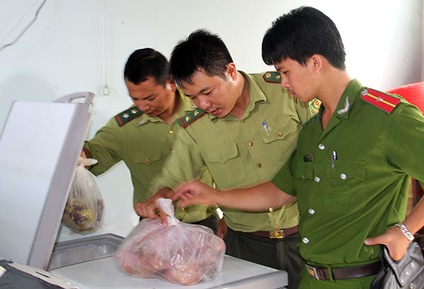 Rừng Đạ Tẻh dần bình yên