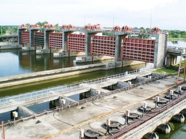 Cách chống hạn, ngăn lũ chỉ bằng &quot;Má khỉ&quot; đặc biệt của Thái Lan