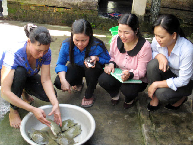 Hội Phụ nữ Đạ Tẻh với nhiều hoạt động thiết thực giúp hội viên