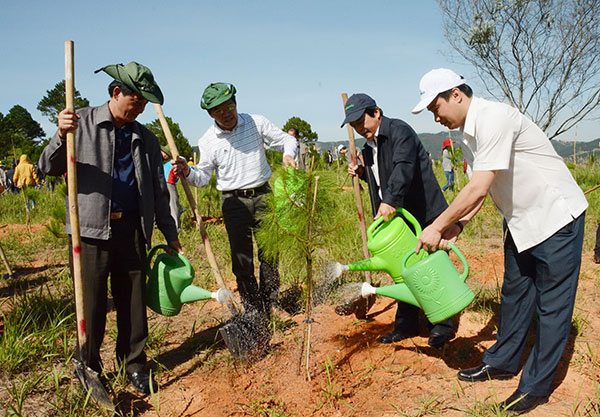 Trồng cây nhớ ơn Bác
