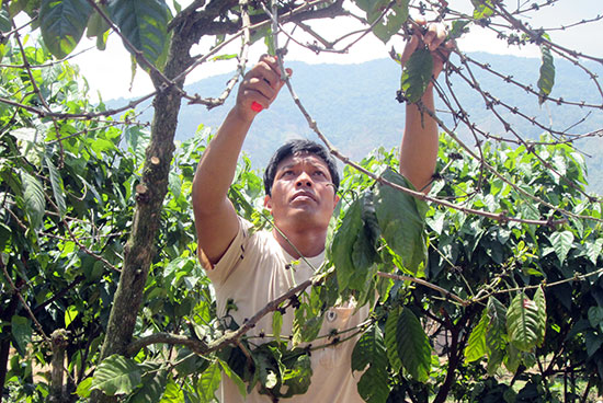 Cil Ha Huấn - Đảng viên trẻ năng nổ