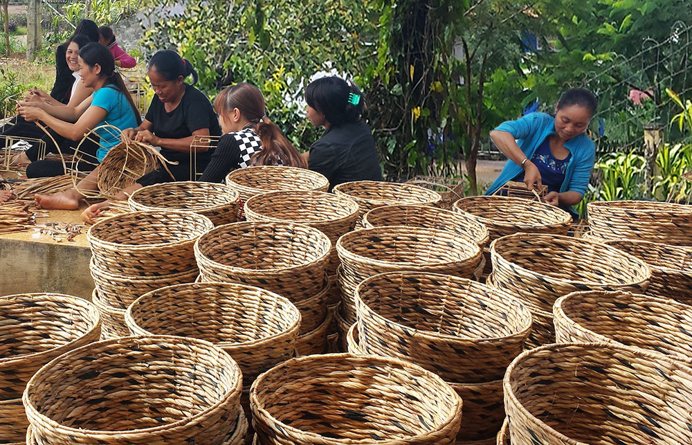 Di Linh đào tạo nghề cho lao động nông thôn