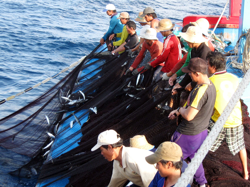 Đây đời ngư phủ dấu yêu