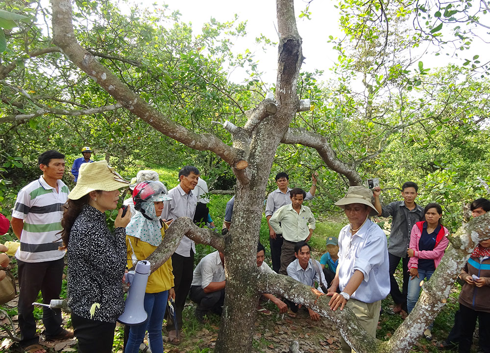 Đạ Huoai: Nhiều mô hình học tập và làm theo tấm gương đạo đức Hồ Chí Minh