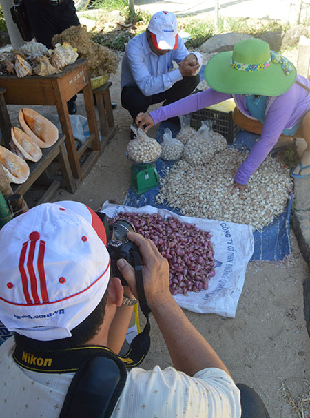 Đặc sản tỏi Lý Sơn
