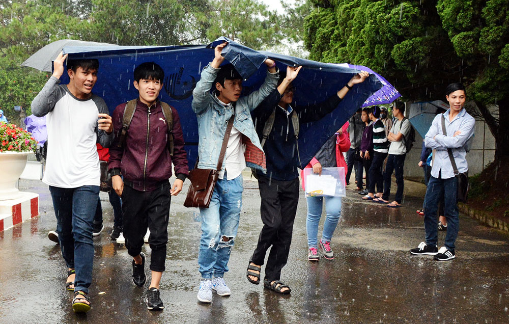 Nhiều thí sinh than thở vì đề Sinh quá dài